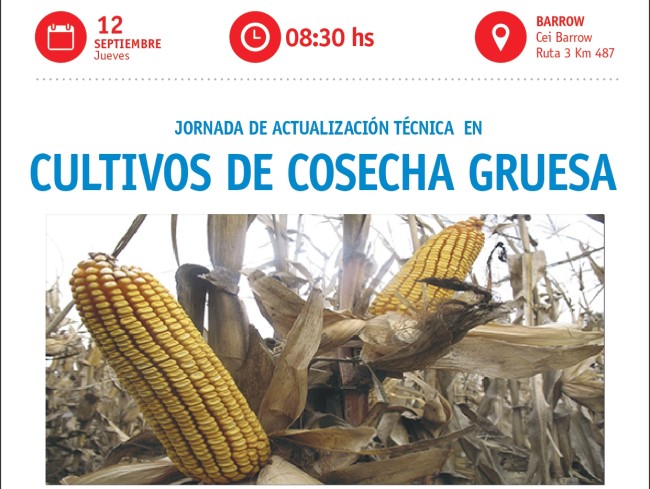Convocan a jornada de actualización en cultivos de gruesa