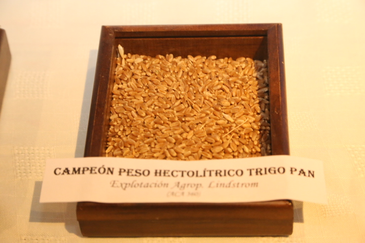 La Cooperativa Agraria felicita a los socios ganadores en las muestras de trigo