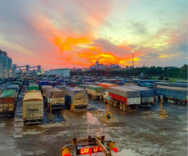 Puerto Quequén: «aunque parezca sobreabundante, hicimos un anillado de mayor control», afirman