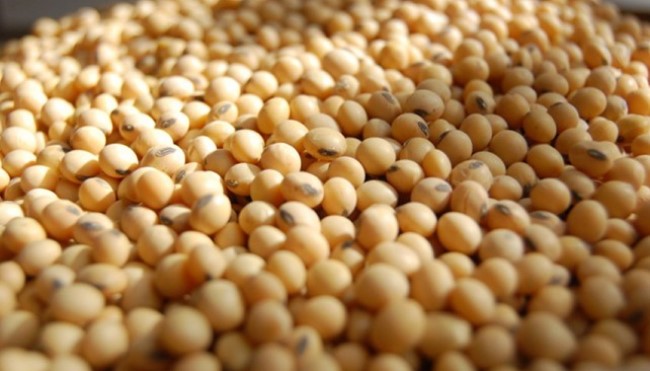 Instrumentarán compensaciones para pequeños productores de soja