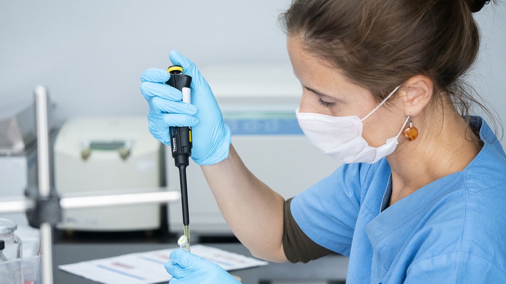 Siguen sumándose casos positivos: en 24 horas ascendieron a ocho