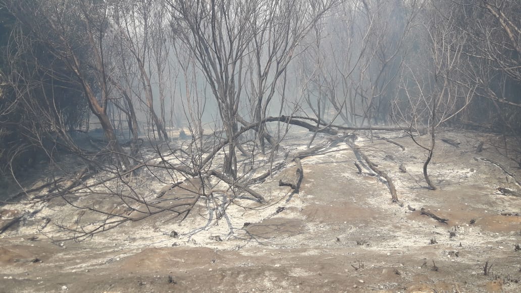 Controlaron el incendio en la zona del Segundo Salto e inician la guardia de cenizas: unas 300 hectáreas fueron destruídas