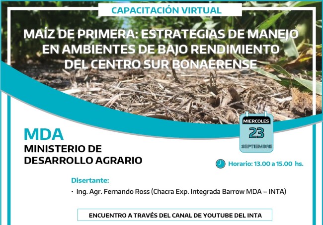 La CHEI Barrow convoca a una jornada virtual sobre maíz