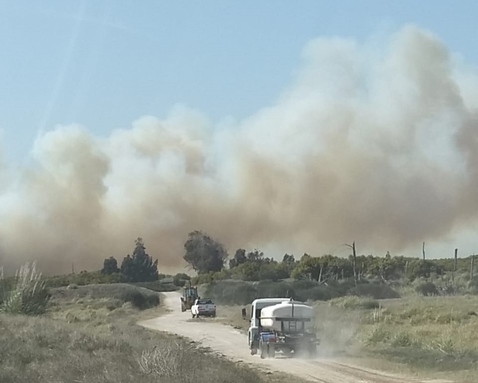 «Naturalmente no es viable que se prenda», observan tras el siniestro claromequense