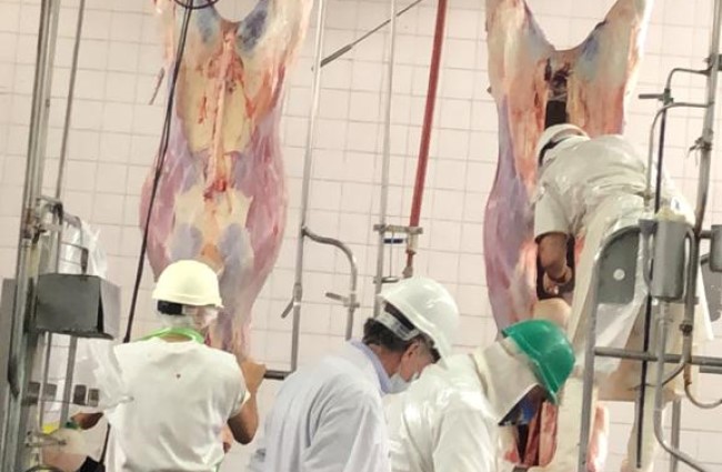 Reanudaron la faena en el Frigorífico Anselmo