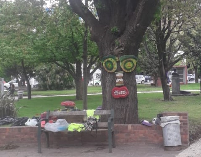 Para concientizar, realizan intervención artística sobre árboles de Plaza San Martín