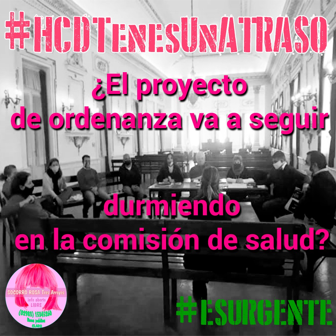 Socorro Rosa llama a movilizar en reclamo por la Interrupción Voluntaria del Embarazo