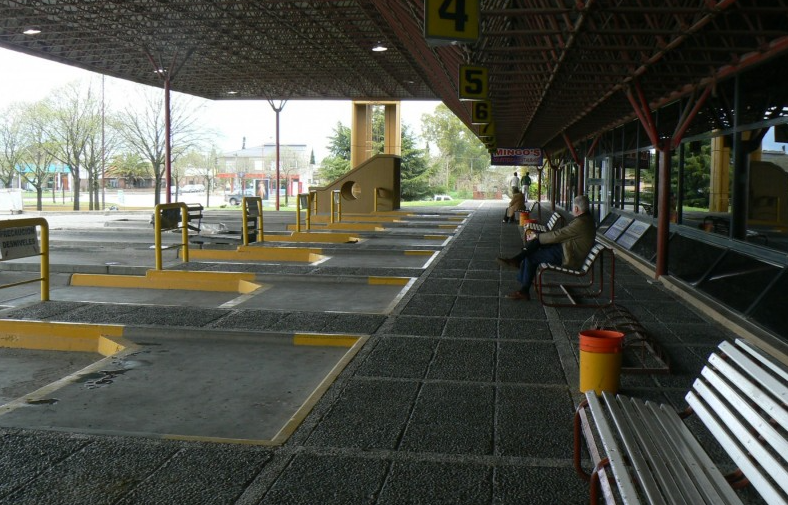 El Gobierno estableció los requisitos de uso de las plazas en micros para la temporada de verano