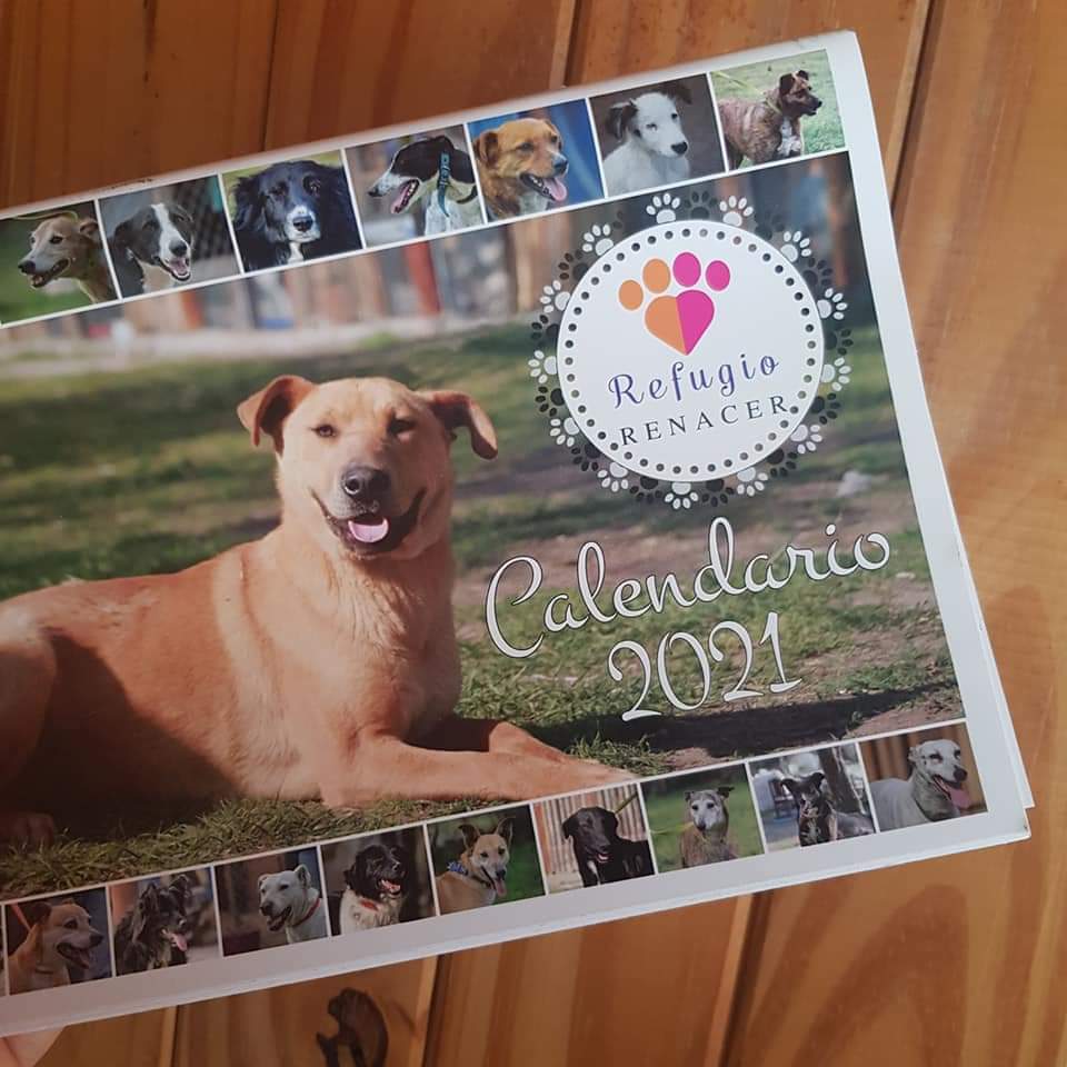 Ponen a la venta los Calendarios 2021 a beneficio del Refugio Renacer