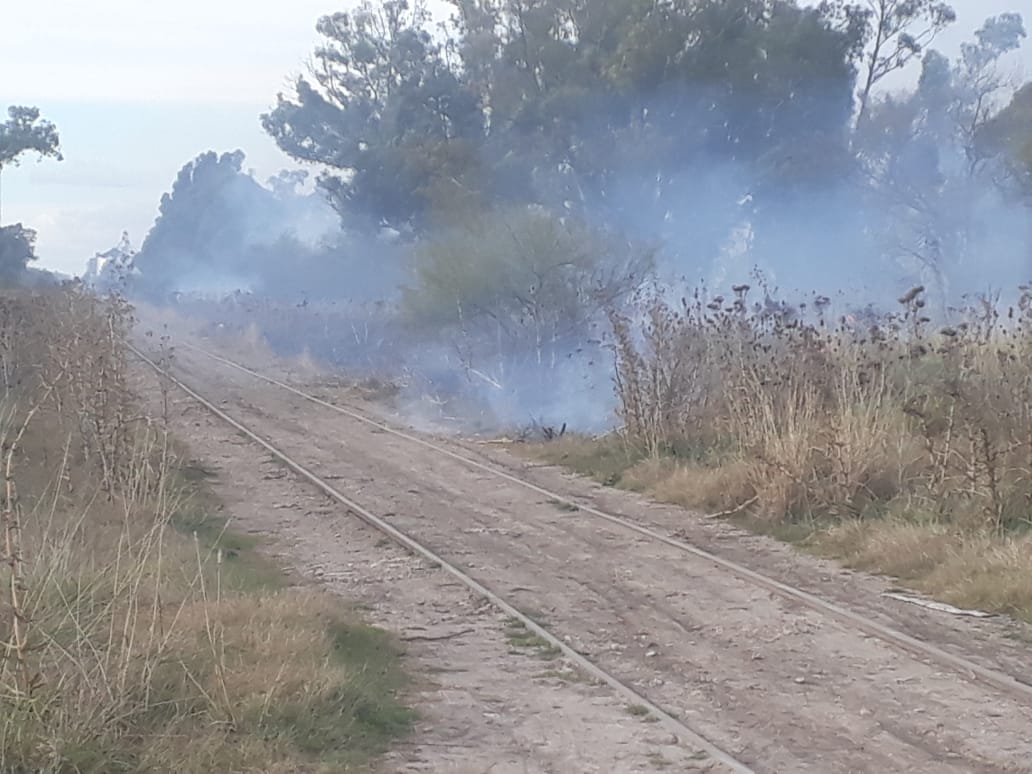 Controlaron incendio en una quinta frente al Parque Cabañas