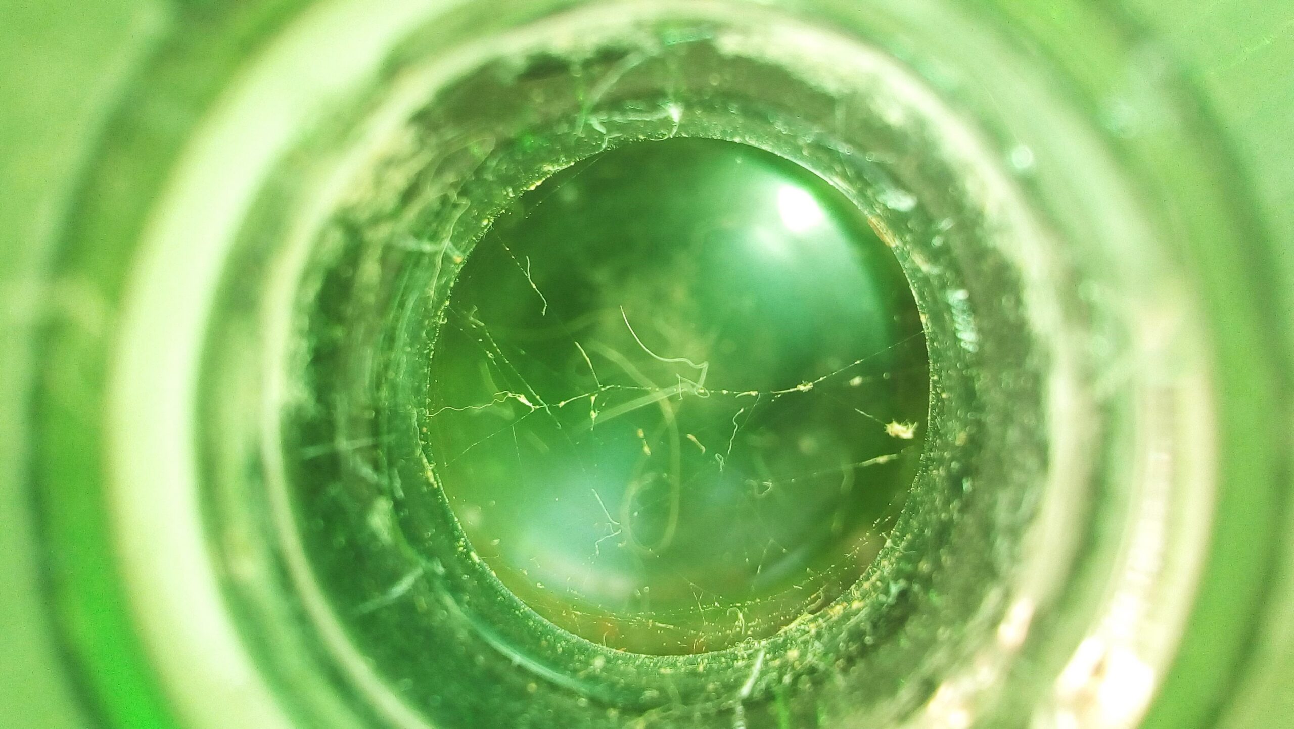 Empleados de Comercio y la Cacuri galardonaron a los participantes del concurso de vacaciones