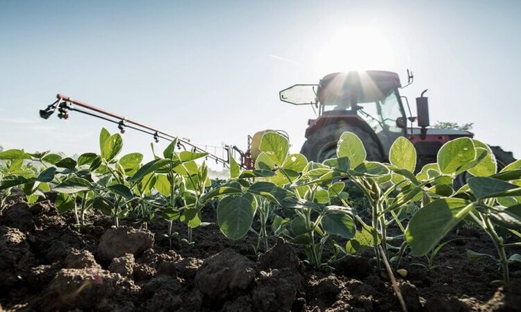 Estiman en 2,58 millones de hectáreas la superficie destinada a soja en áreas de la Bolsa bahiense