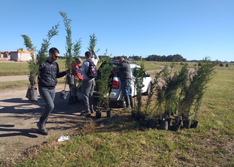 Plantaron casi doscientos árboles en el Polo Educativo