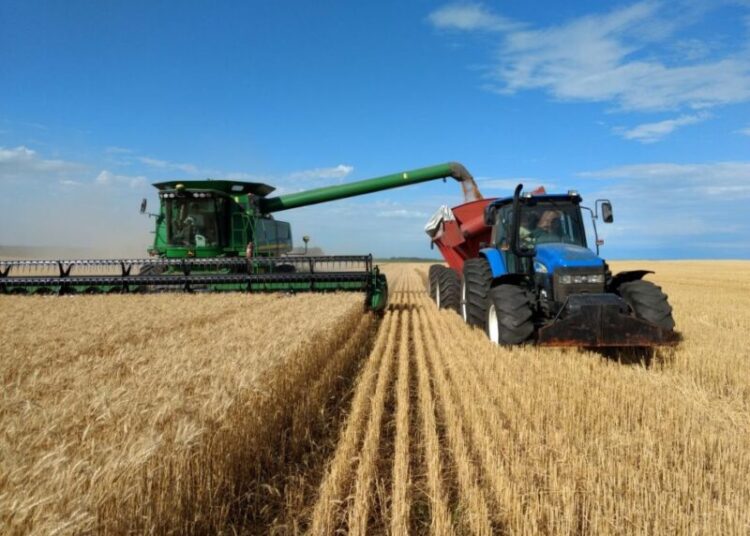 El trigo alcanza un nuevo máximo en más de nueve años y subió casi 70% desde el año pasado