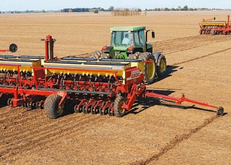 Avanza con firmeza la siembra de soja