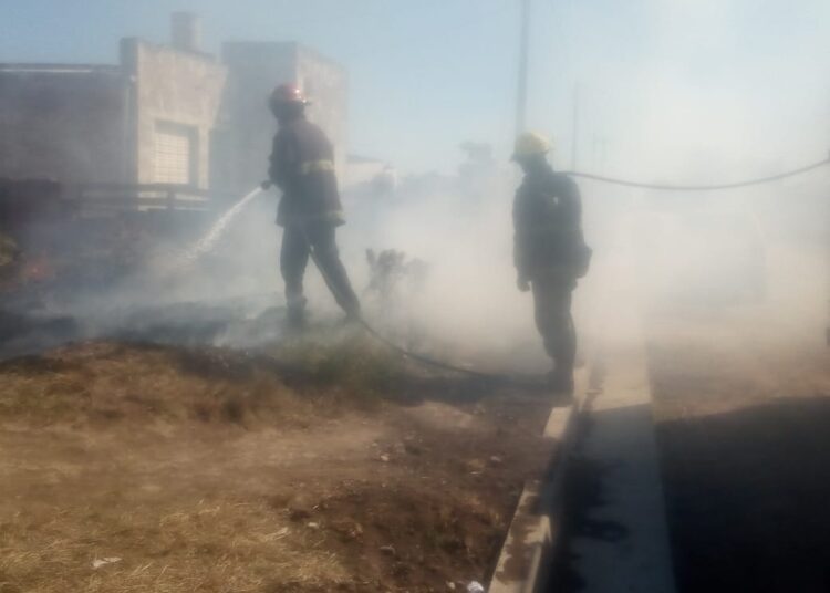 Bomberos sofocaron con éxito un incendio de pastizales