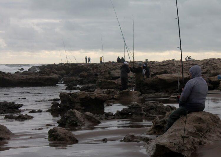 Subrayan importante afluencia de inscripciones para Las 24 Horas de la Corvina Negra