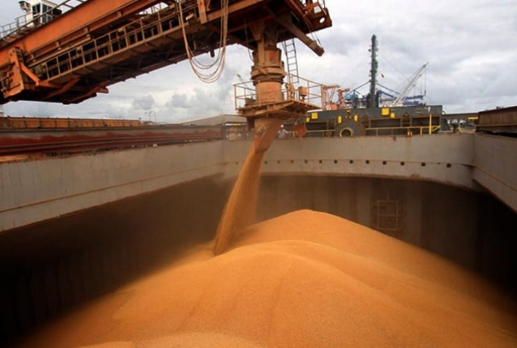 Estiman que la campaña de granos alcanzará un volumen récord de 144,5 millones de toneladas