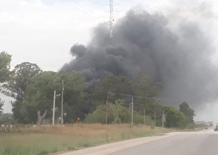 Piden extremar recaudos por posibles incendios en campos y banquinas