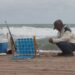 Señalan que la ola de calor no tendrá un impacto significativo en la pesca