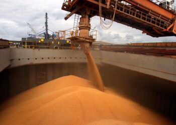 Fiesta del Trigo, edición 53: hasta el viernes reciben muestras en el Centro de Acopiadores