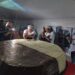 De la Garma: se vive la segunda edición de la Fiesta del Alfajor, con uno de 600 kilos como principal atracción
