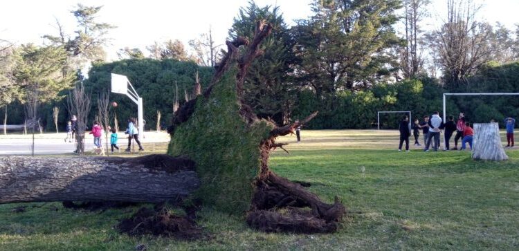Culminó el alerta amarilla en el distrito pero el Parque Cabañas permanecerá cerrado