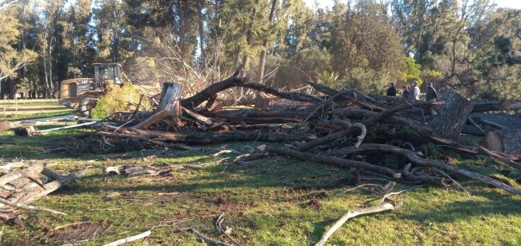 Por riesgo de vientos fuertes, cierran el Parque Cabañas el fin de semana