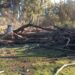 Por riesgo de vientos fuertes, cierran el Parque Cabañas el fin de semana