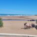 La playa, a pleno: buen clima y tranquilidad para los turistas de marzo