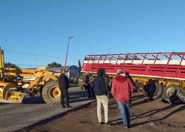 Camión jaula debió ser liberado tras caer en una zanja en ruta 3 y Laprida