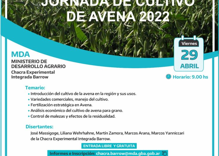 El viernes, jornada de avena en la Chacra de Barrow