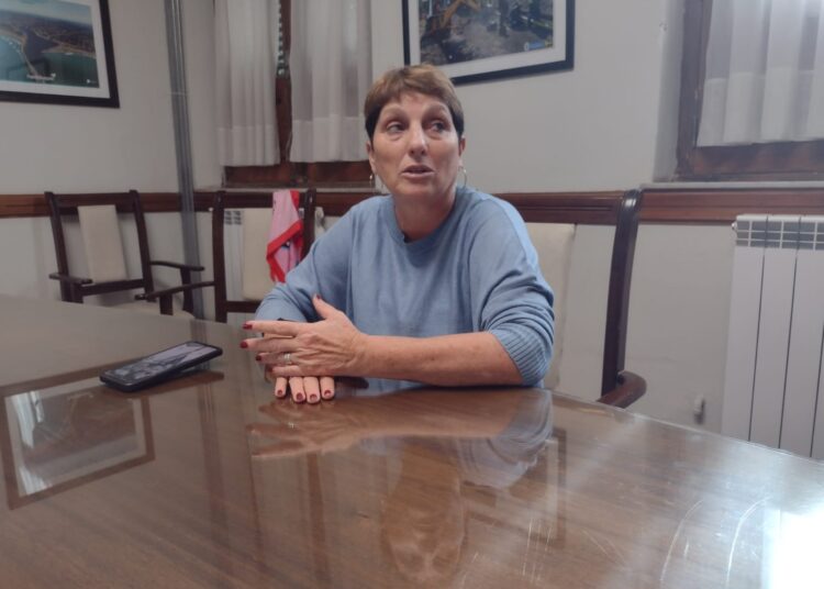 Guardia pediátrica: para Cittadino, se deberá «unir lo público y lo privado» para suplir la falta de profesionales