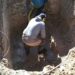 Reparan caño en cercanías de Plaza Francia y prevén merma de agua hasta mañana