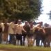 Le dieron el alta al apuñalado a la salida de Chapas