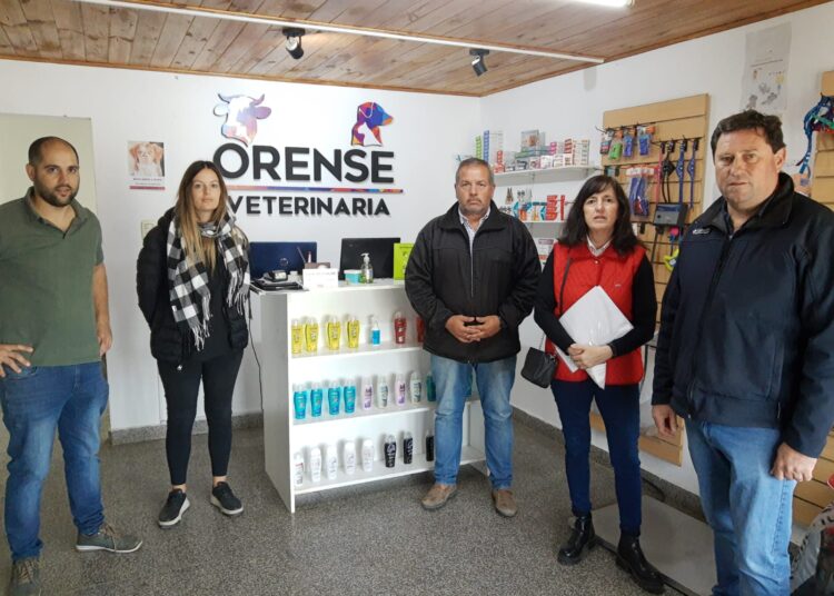 Tras quejas de PACMA, reinician campaña de castración en Orense