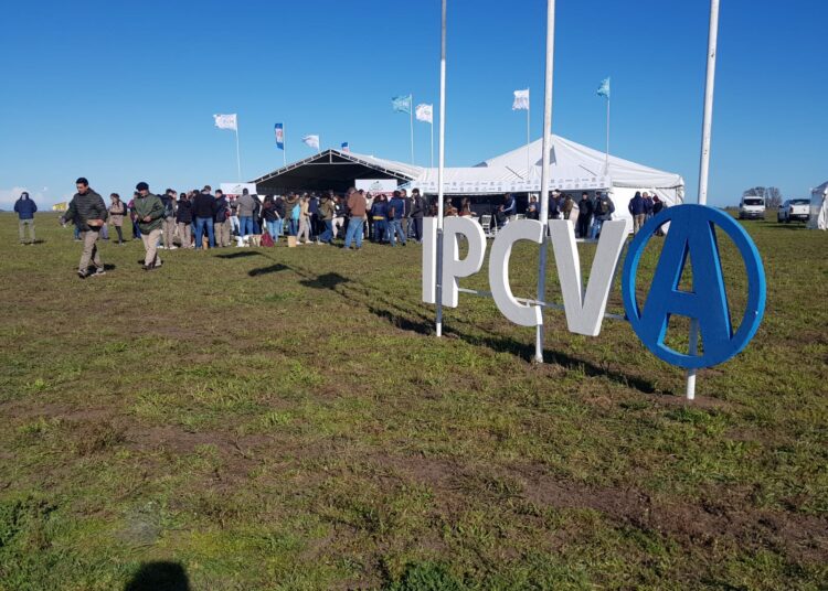 El IPCVA realizó una jornada a campo en un establecimiento próximo a Claromecó