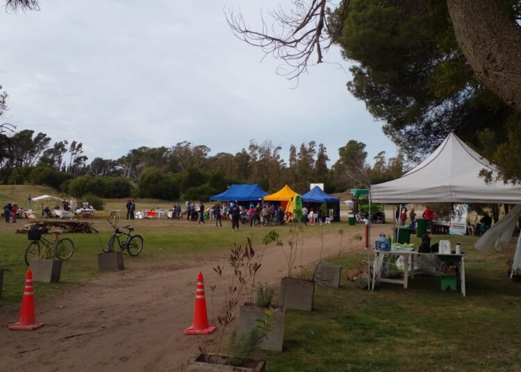 Claromecó: desarrollaron una Eco Feria en el Vivero