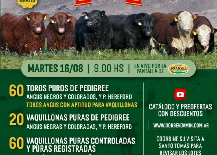 Don Benjamín remata el 16 de agosto en Cabaña Santo Tomás de la Sierra