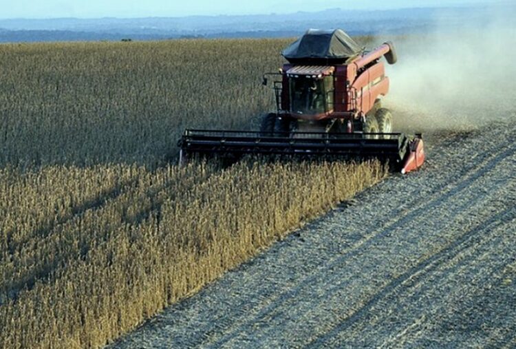 Bahillo: «No habrá cambios de las reglas de juego para los sectores productivos»