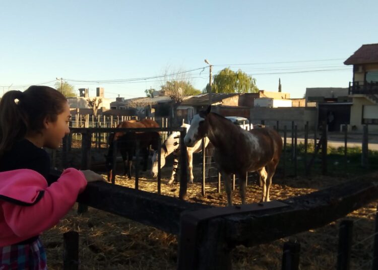 La Exposición Rural, visita obligada en una soleada tarde de sábado
