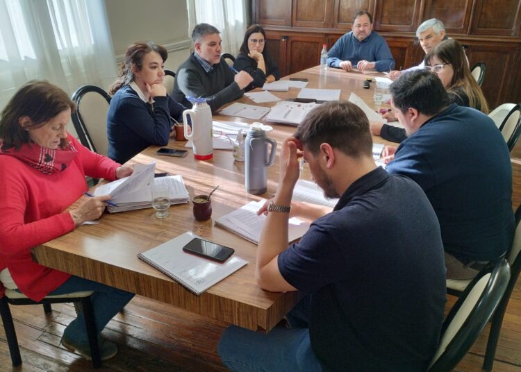 Nocturnidad: no descartan unificar dos proyectos vinculados