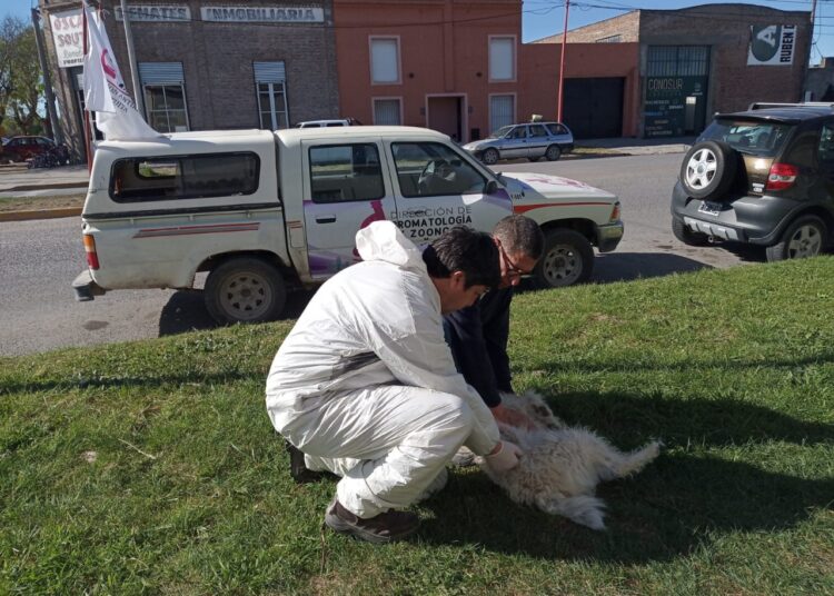 Prosiguen vacunación antirrábica en Rivadavia y Caseros