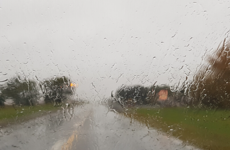 Lluvias y cosecha fina: «le digo al productor que guarde los rezos para octubre y noviembre», valoran en la Agraria