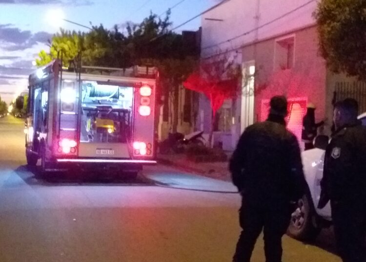 Se incendió una palmera y Bomberos lo sofocó en menos de media hora