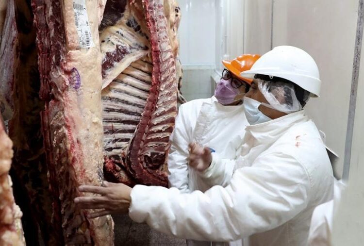 Según informe, el precio de la carne vacuna logró estabilizarse desde hace cuatro meses