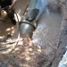 Prevén suministro reducido de agua en el área céntrica
