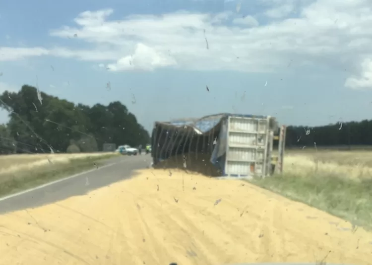 Volcó un camión en cercanías a la Escuela Agropecuaria y regó al asfalto con cereal