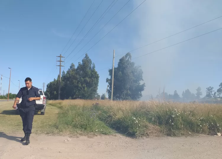 Sofocaron incendio de pastizales en un terreno de Pringles y Camino de Cintura