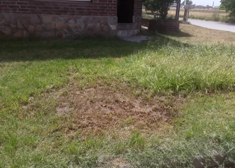 Quejas en Suipacha y Alvear por pérdida de agua y ciénaga en plena vereda